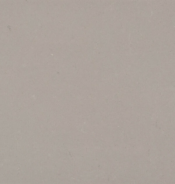 4004 Raw Concrete