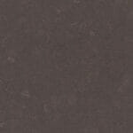 4120_Raven