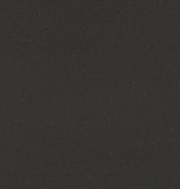 4120_Raven