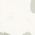 5114_Calacatta Maximus