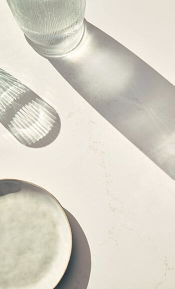 515_Palm-Shade_3_DPS-1920X1080