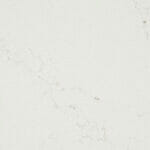 515_Palm-Shade_CU_50x70cm_1920x616px