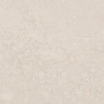 5222_Adamina