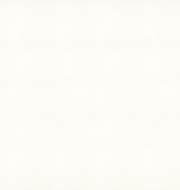 1111_Vivid-White