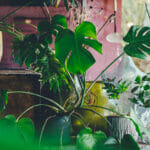 Eclectic 3. Complementary accessories