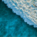 Red List Declaration