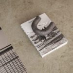 542_Mosstone_Render3